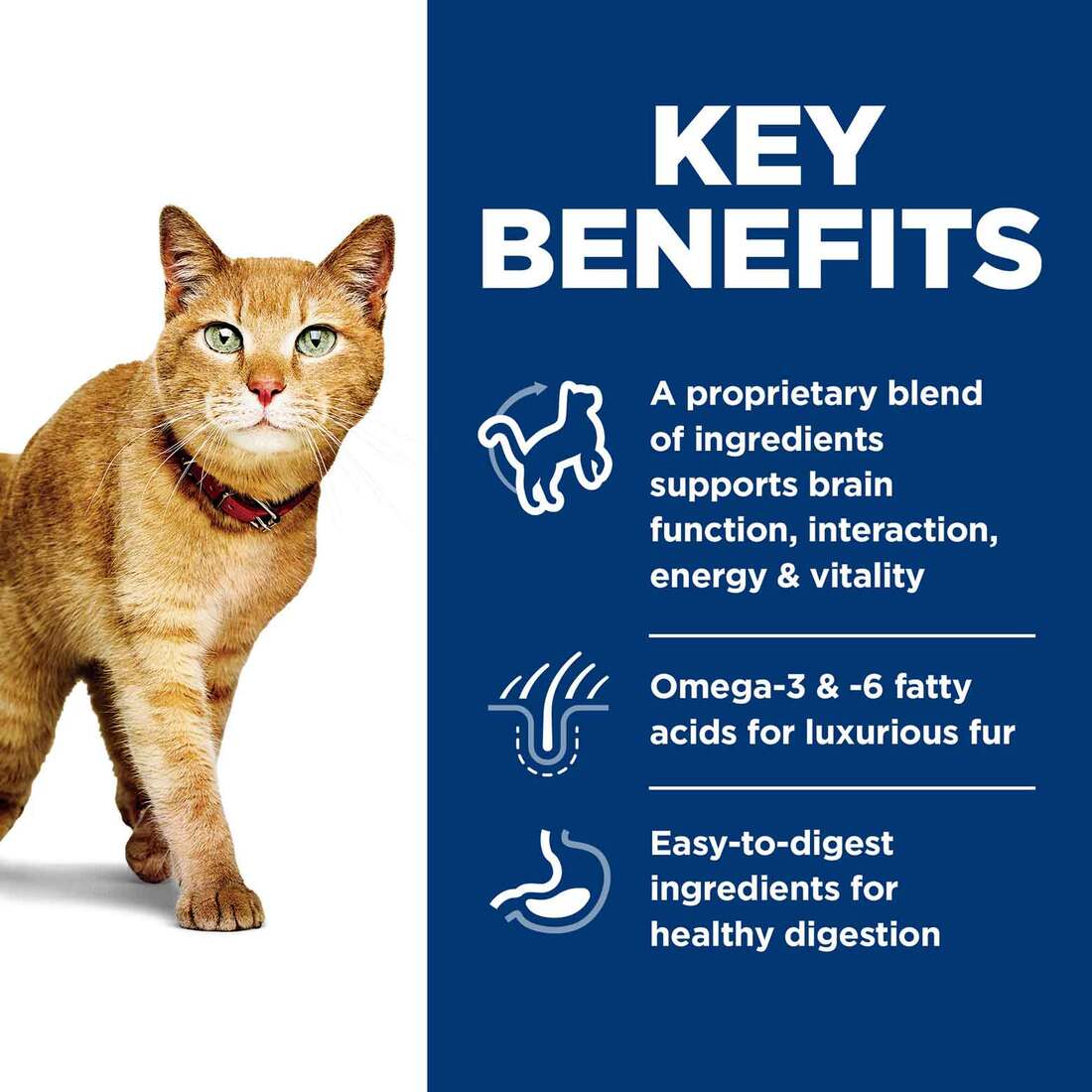 Hill's Science Diet Senior 7+ Senior Vitality Dry Cat Food, Chicken & Rice Recipe, 3 Pound Bag