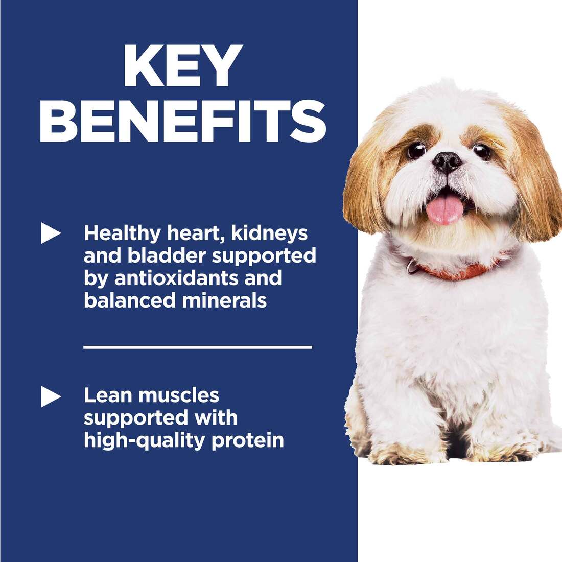 Hill's Science Diet Senior 7+ Small Bites Chicken Meal, Barley & Rice Recipe Dry Dog Food, 15 Pound 