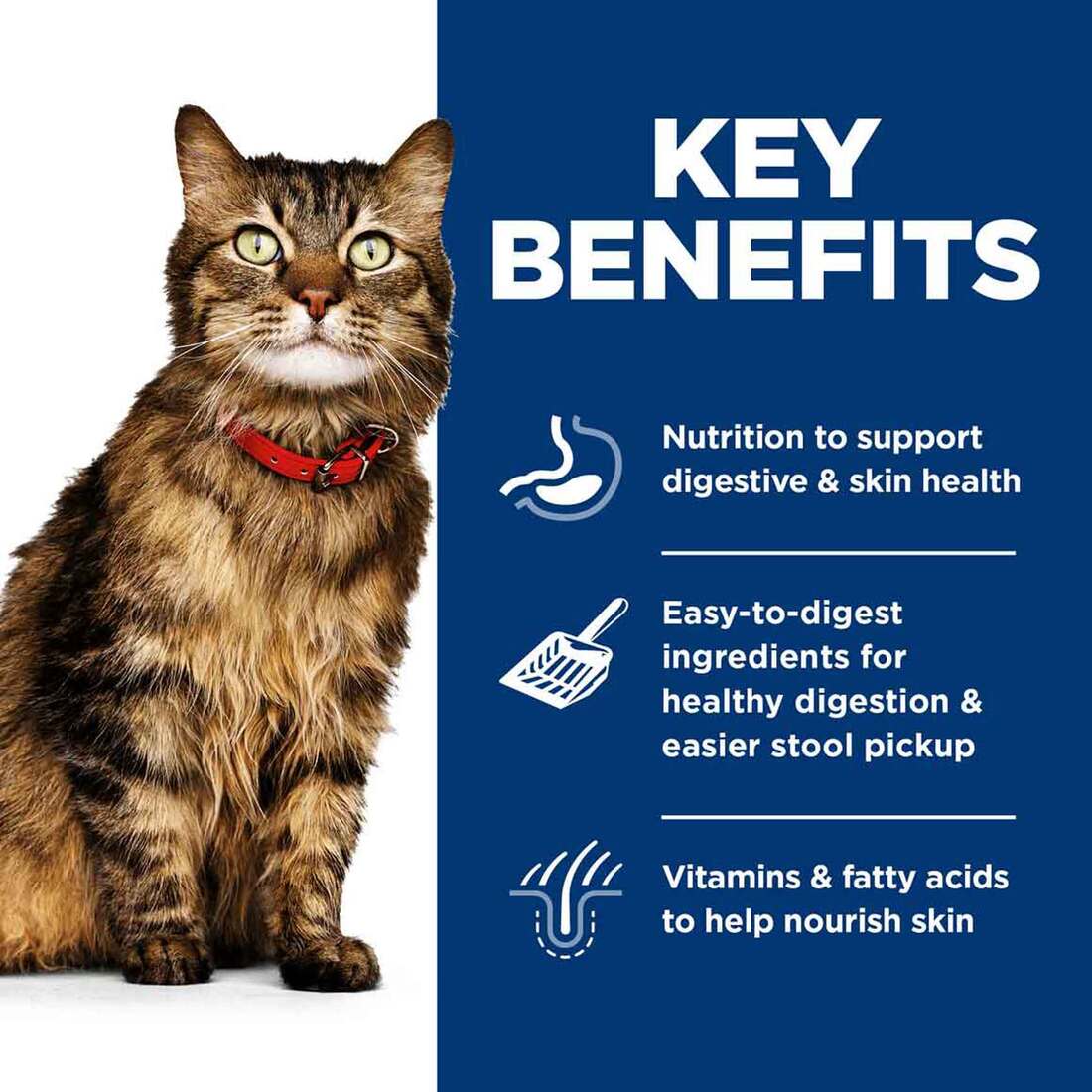 Hill's Science Diet Sensitive Skin and Stomach Wet Cat Food Variety Pack, Tuna, Chicken, Vegetables,