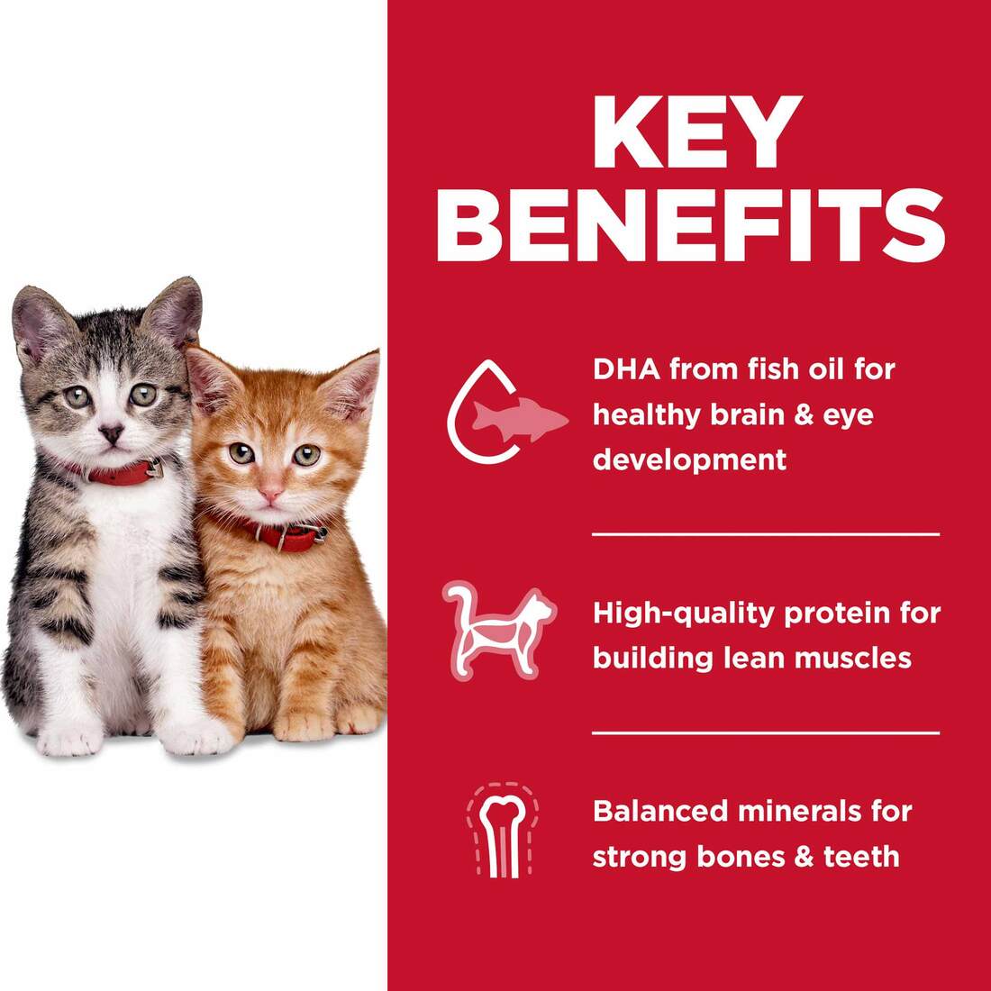 Hill's Science Diet Kitten No Corn, Wheat or Soy Dry Cat Food, Chicken, 6 Pounds