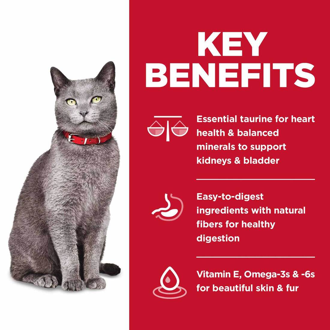 Hill's Science Diet Senior 7+ No Corn, Wheat or Soy Dry Cat Food, Chicken, 7 Pounds