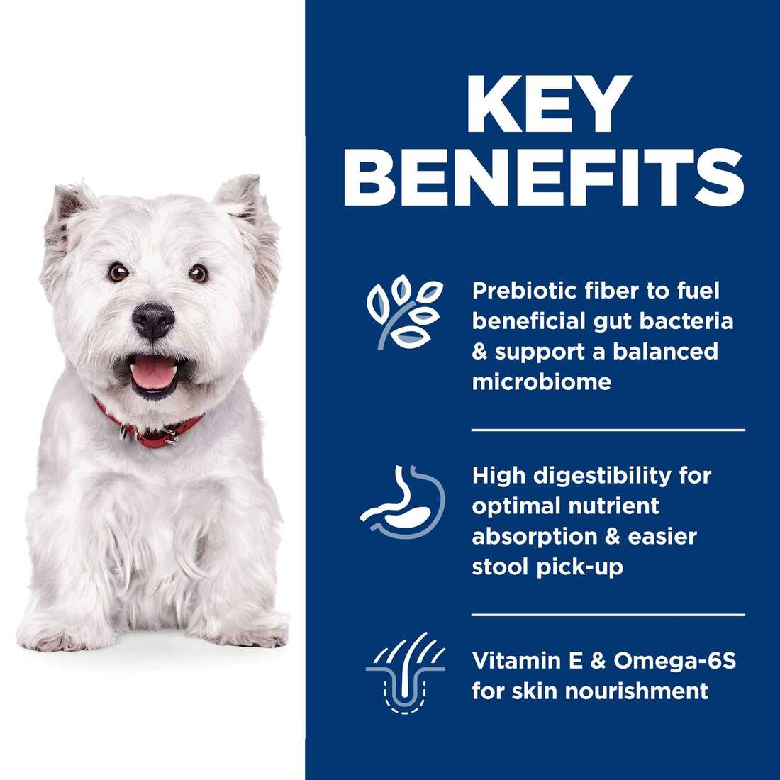 Hill's Science Diet Adult Sensitive Stomach & Skin Small Bites Dry Dog Food, Chicken Recipe, 15 Poun