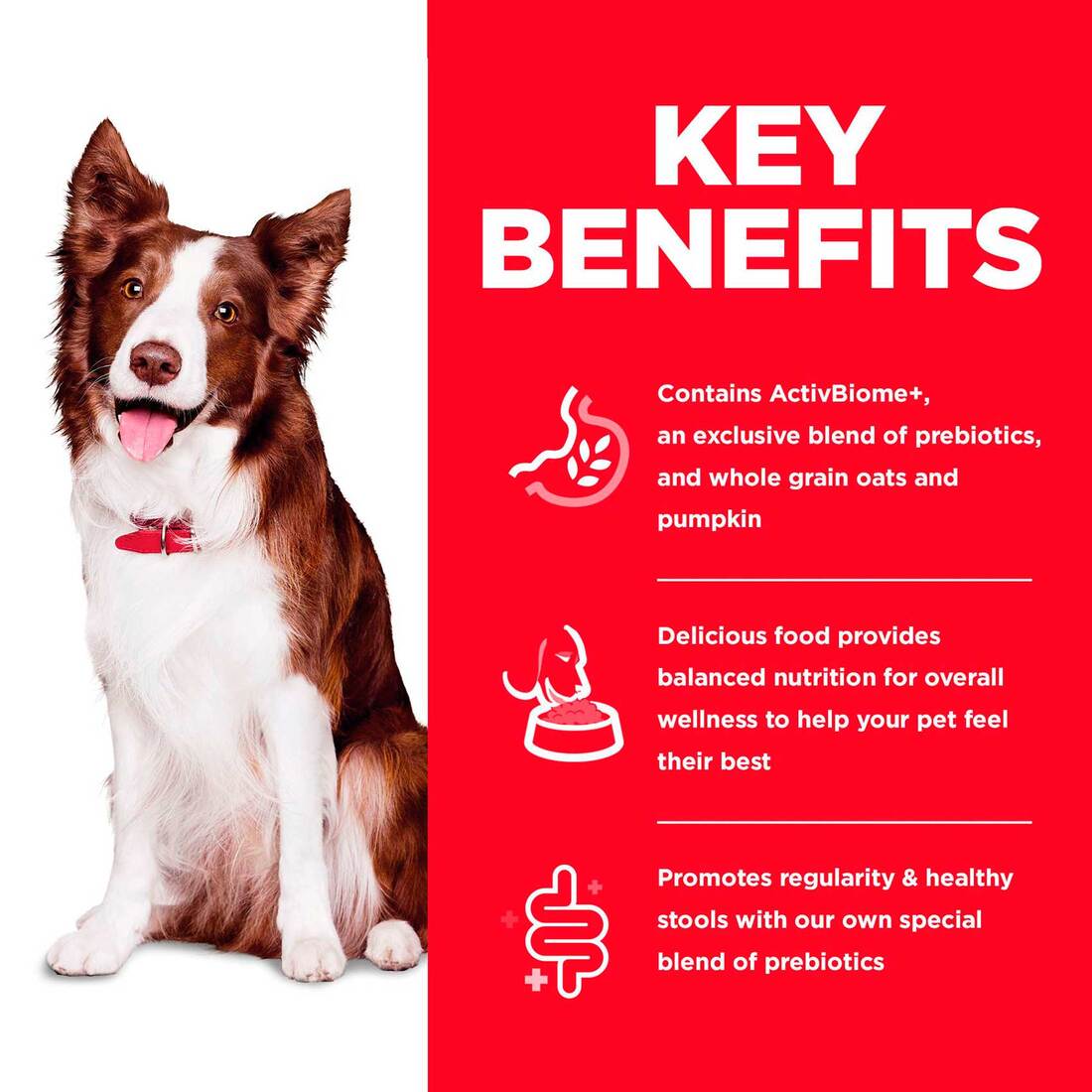 Hill's Science Diet Adult Perfect Digestion Chicken, Brown Rice, & Whole Oats Recipe Dry Dog Food, 3