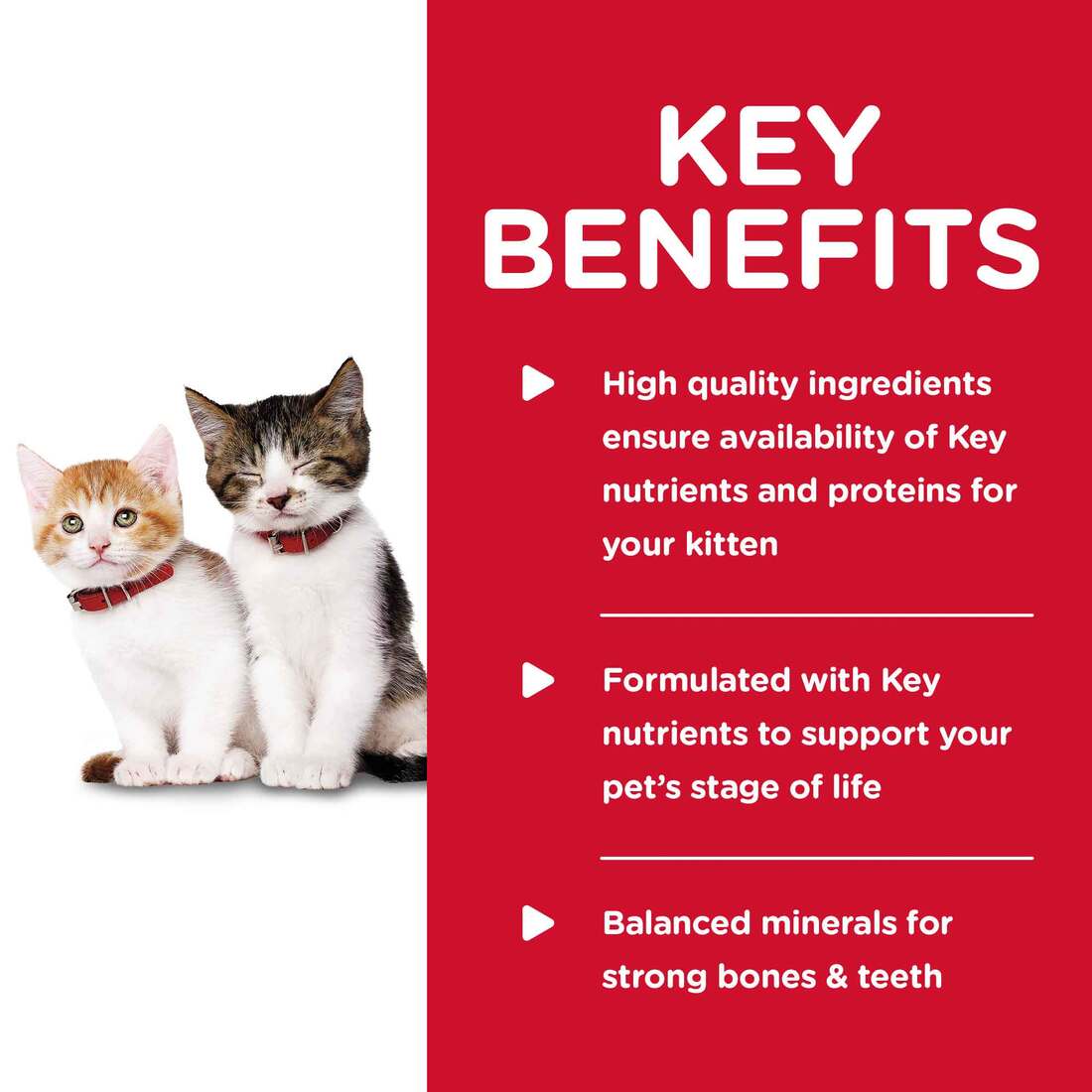 Hill's® Science Diet® Wet Cat Food, Kitten Tender Chicken Dinner, 5.5 Ounces