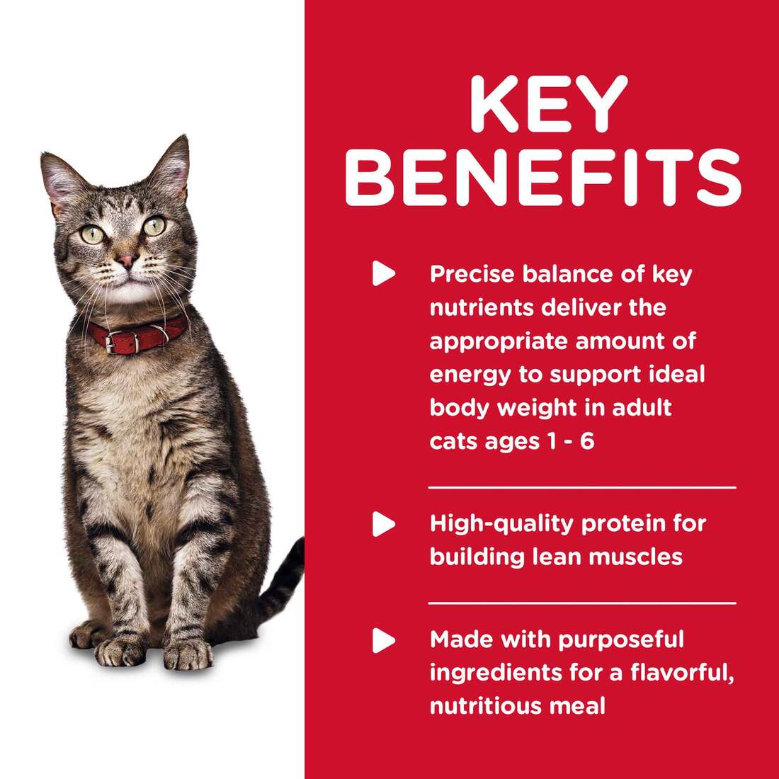 Hill's® Science Diet® Wet Cat Food, Adult Tender Chicken Dinner, 5.5 Ounces