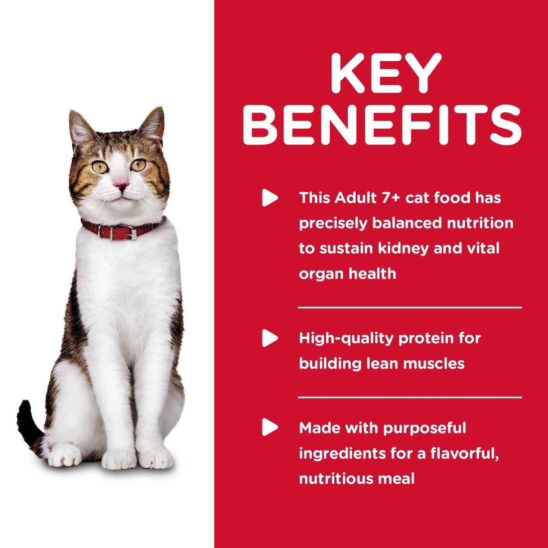 Hill's® Science Diet® Wet Cat Food, Mature Adult Savory Chicken Entrée, 5.5 Ounces