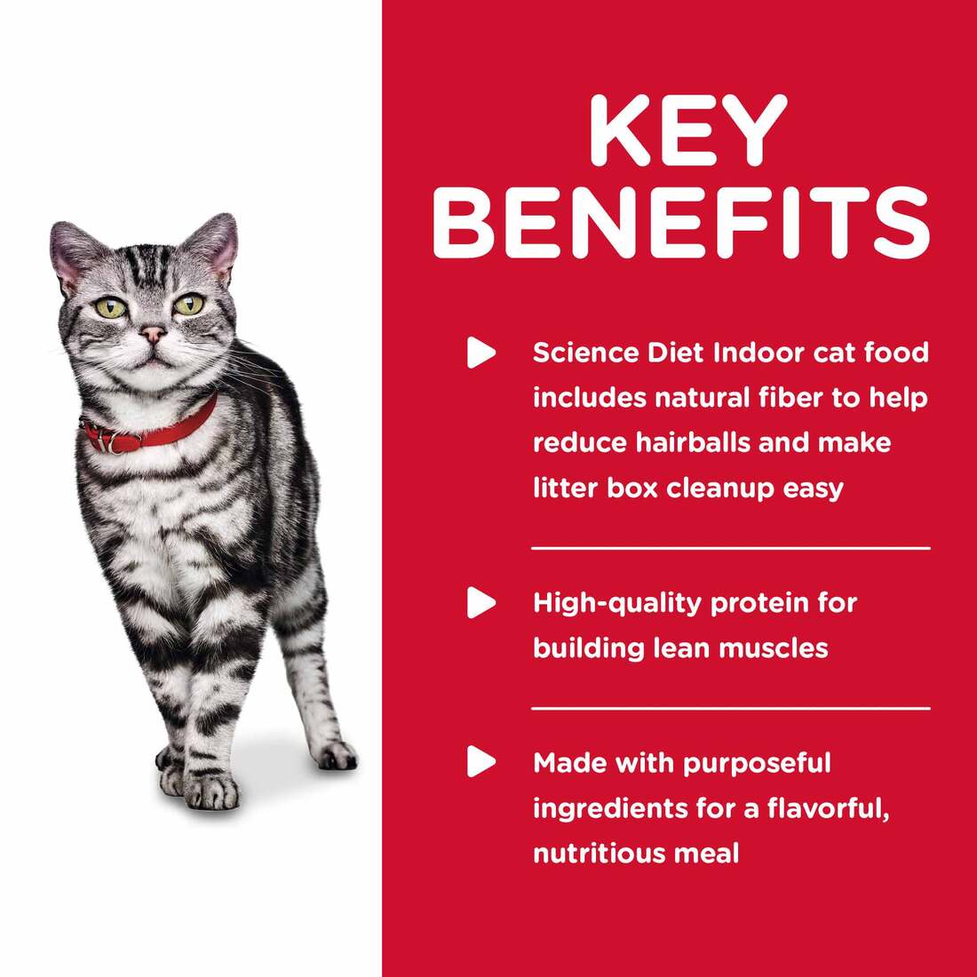 Hill's® Science Diet® Wet Cat Food, Adult Indoor Savory Chicken Entrée, 5.5 Ounces