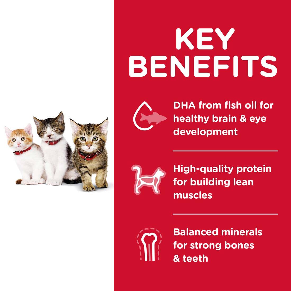 Hill's® Science Diet® Kitten Healthy Development, 3.5 Pound Bag