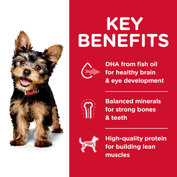 Hill's® Science Diet® Puppy Small & Toy Breed, 4.5 Pound Bag