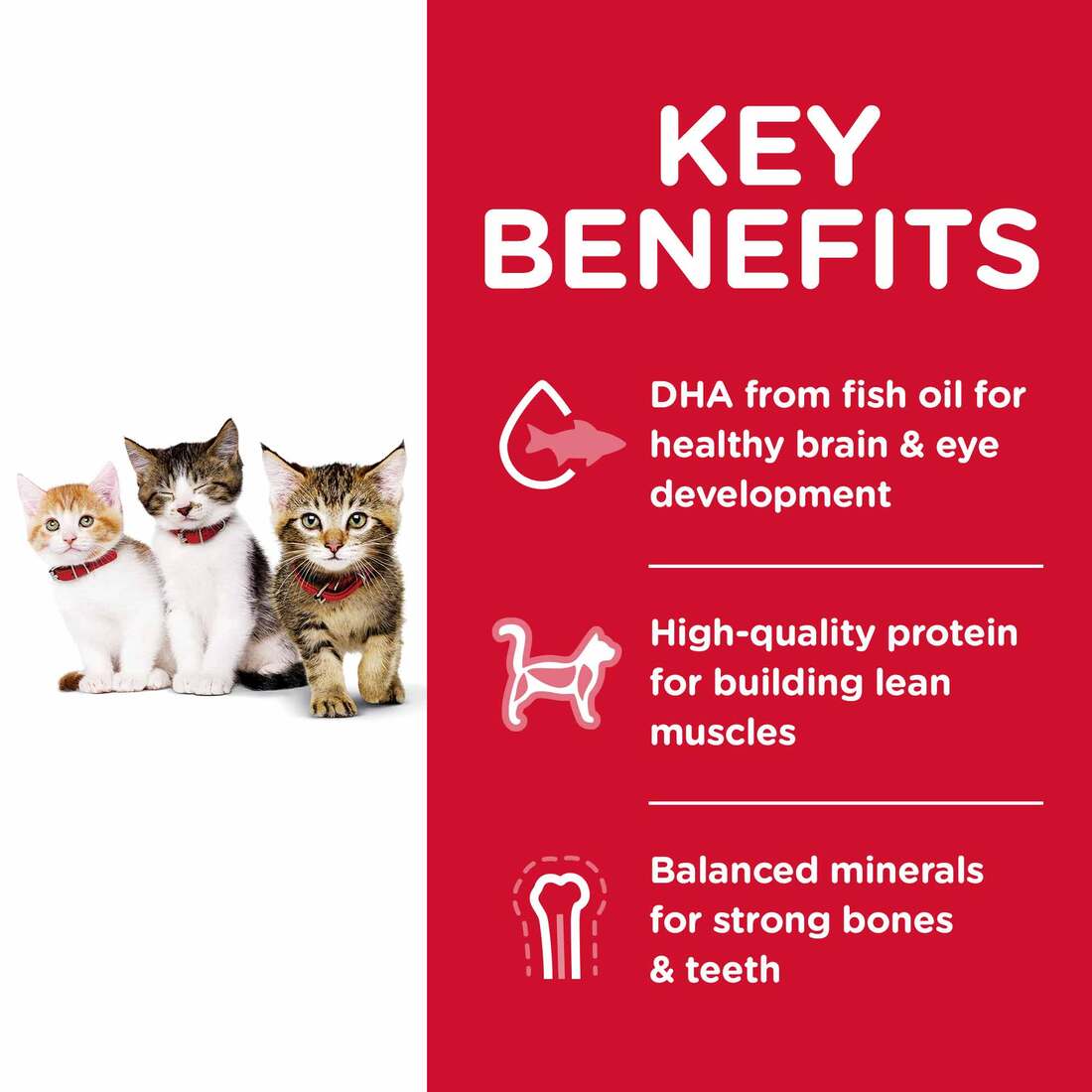 Hill's® Science Diet® Kitten Healthy Development, 7 Pound Bag