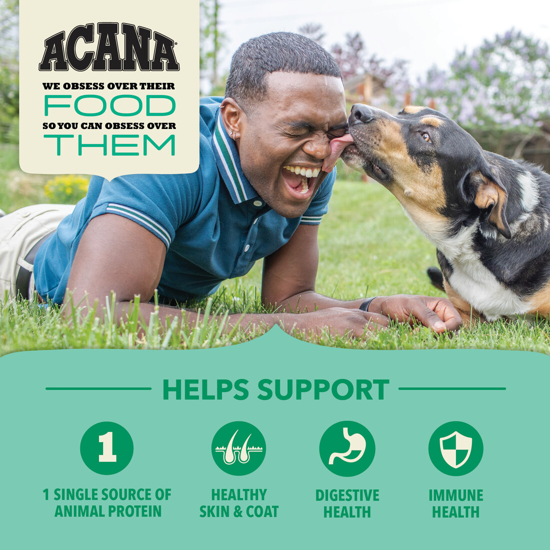 ACANA® Wholesome Grains Dry Dog Food, Limited Ingredient Diet, Lamb & Pumpkin, 4 Pounds