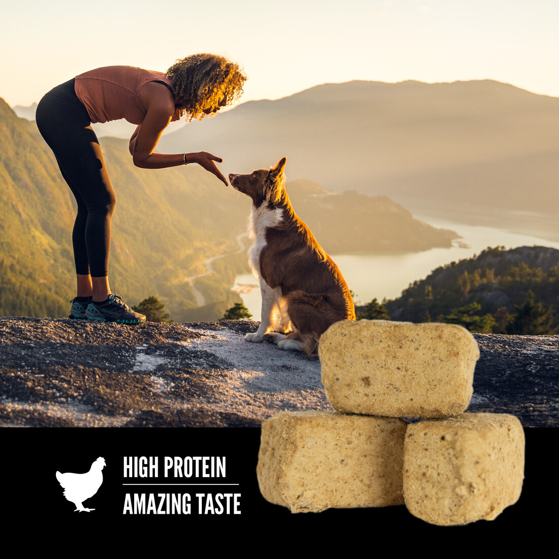 ORIJEN® Freeze Dried Dog Treats, Grain Free, High Protein, Raw Animal Ingredients, Original, 3.25 Ou