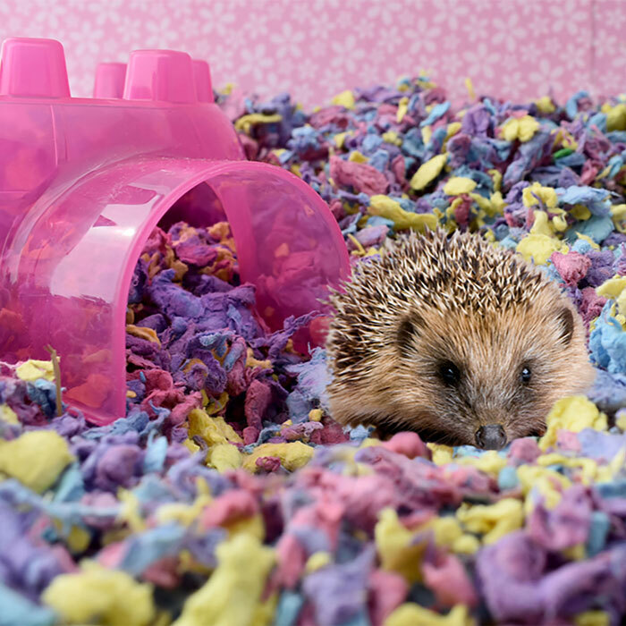 carefresh® confetti small pet bedding, 23L