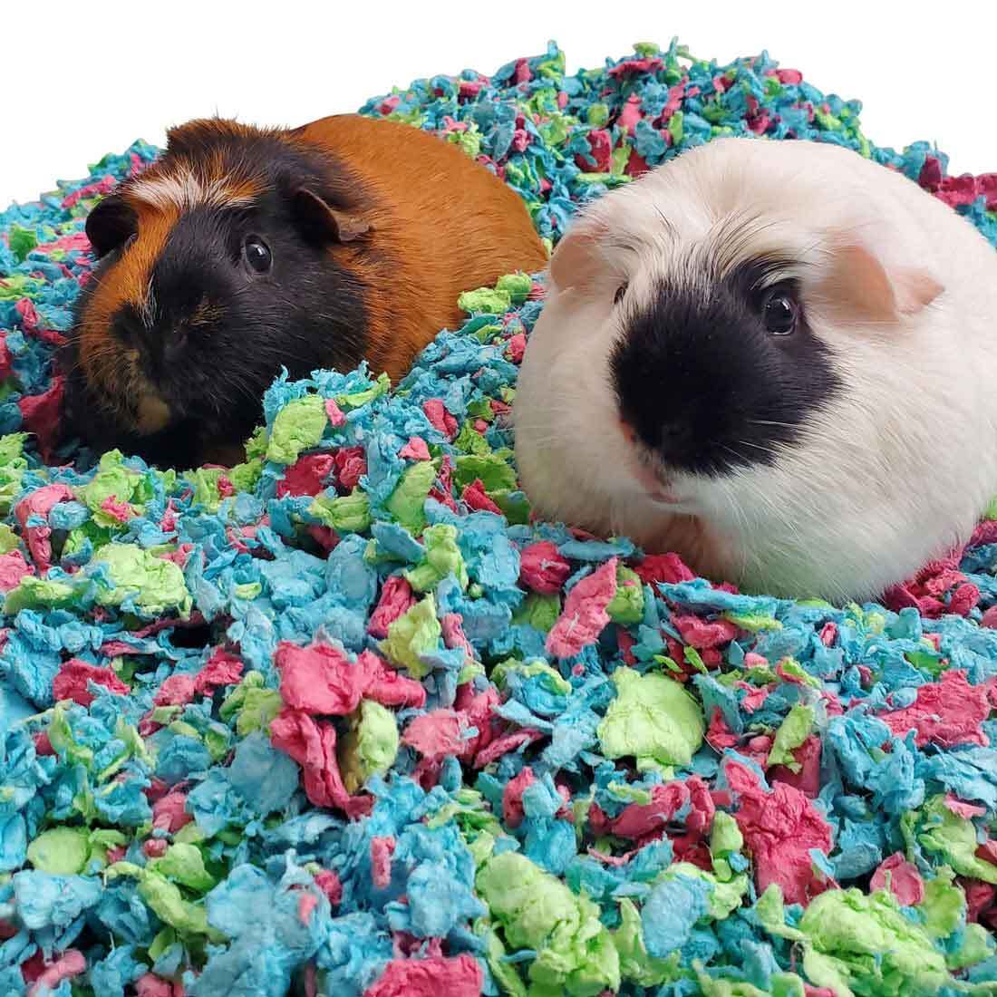 carefresh® Tutti Frutti Small Pet Bedding, 23 Liters