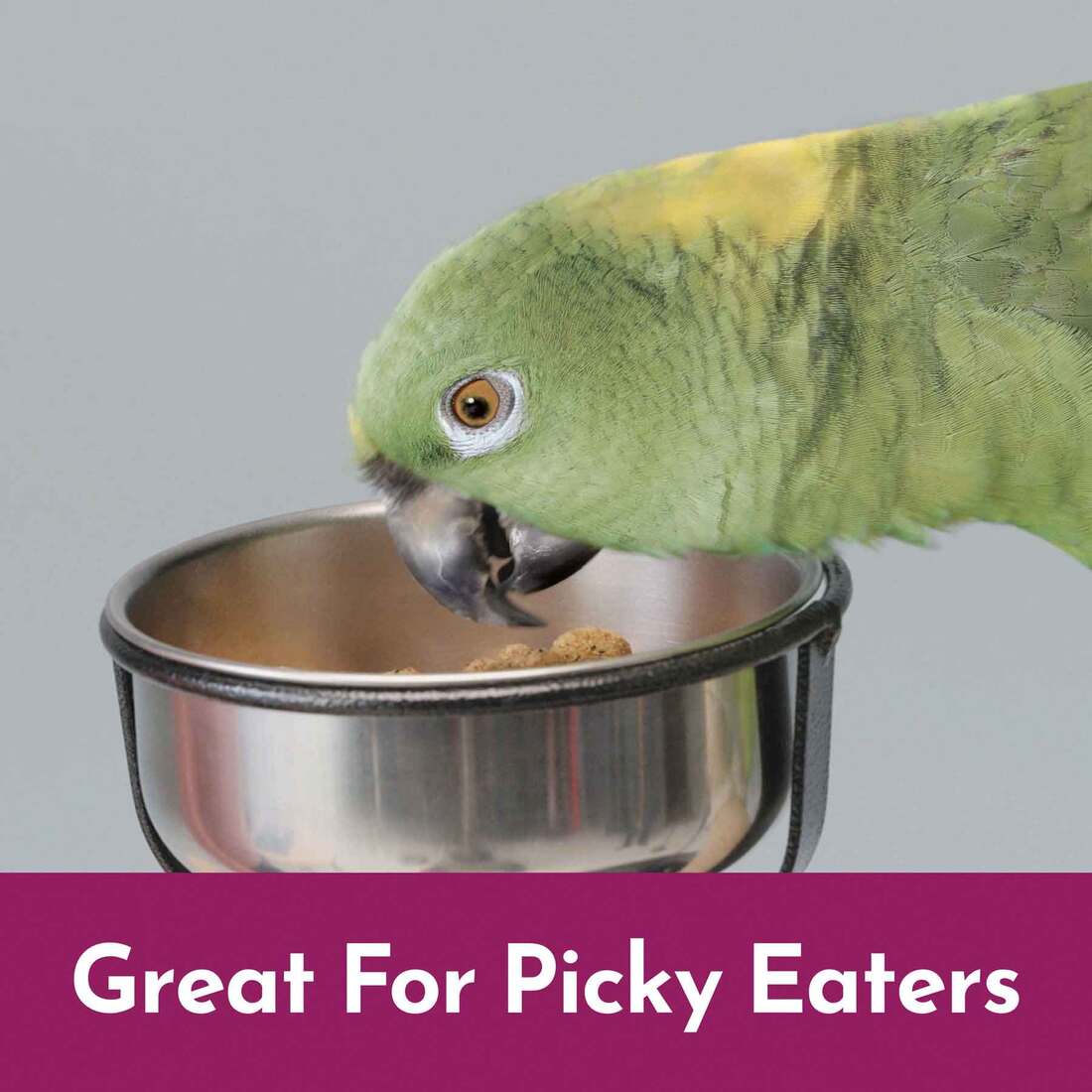 Kaytee NutriSoft Parrot & Conure Food, 3 Pounds