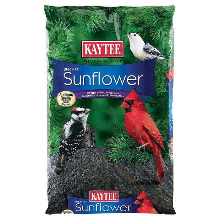 Kaytee Black Oil Sunflower Seed Wild Bird Food, 10 Pounds
