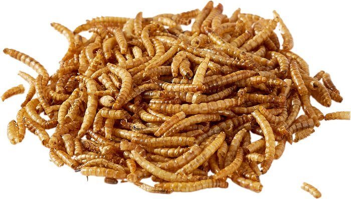 Kaytee Mealworms Wild Bird Food, 7 Ounces