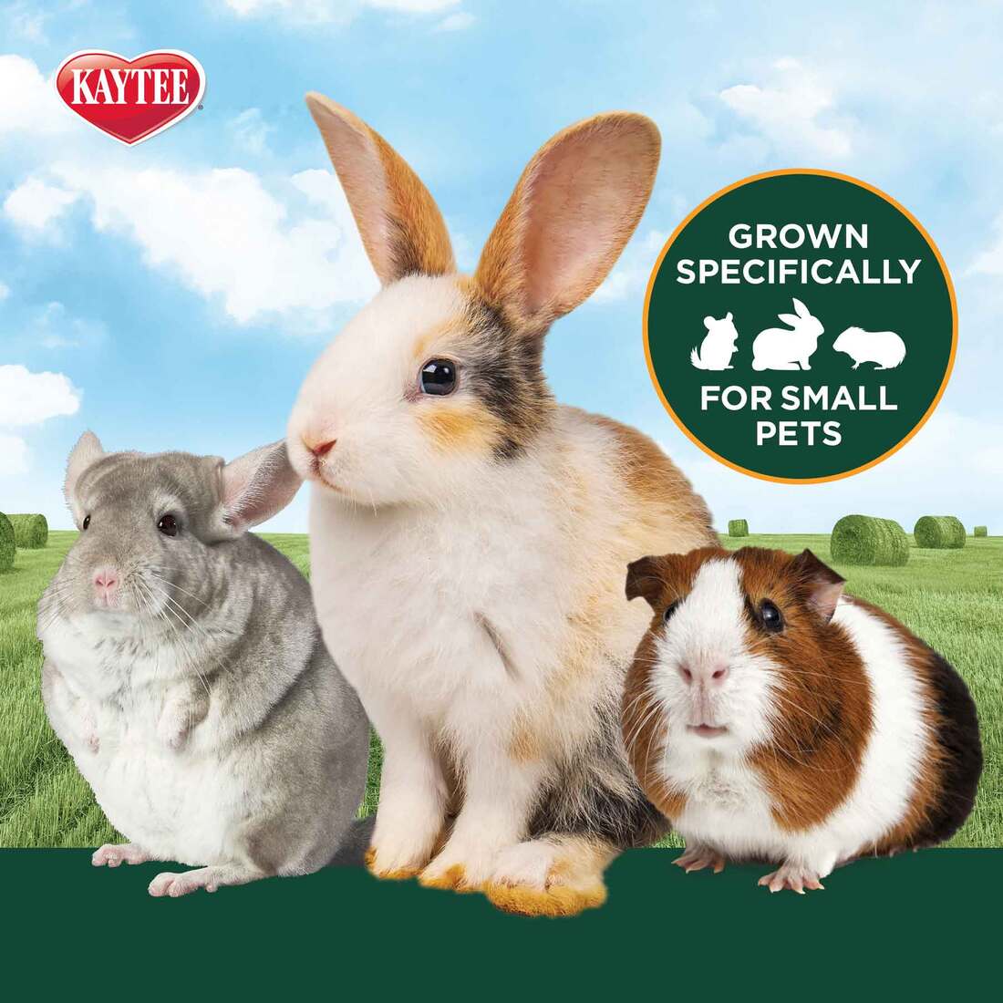 Small Pet Food &Treats Hay & Alfalfa Kaytee Timothy Hay Plus Carrots