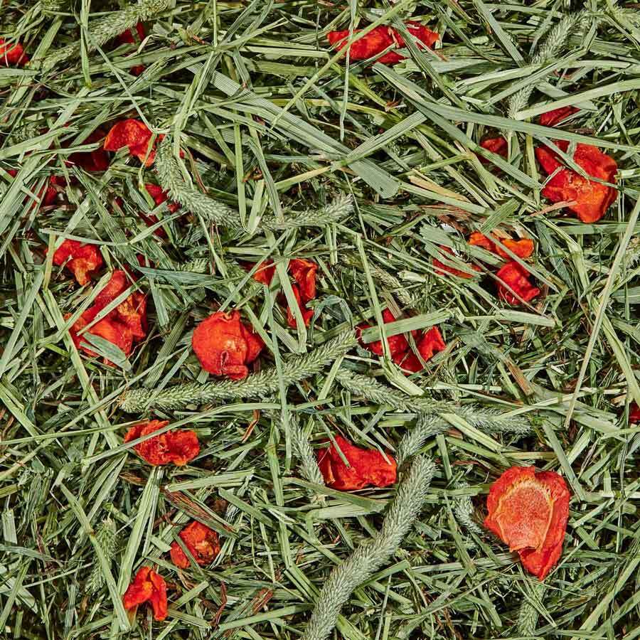 Small Pet Food &Treats Hay & Alfalfa Kaytee Timothy Hay Plus Carrots