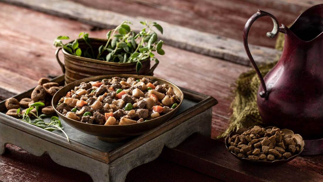 Fromm Family Recipes Frommbalaya™ Beef, Vegetable, & Rice Stew Wet Dog Food, 12.5 Ounces