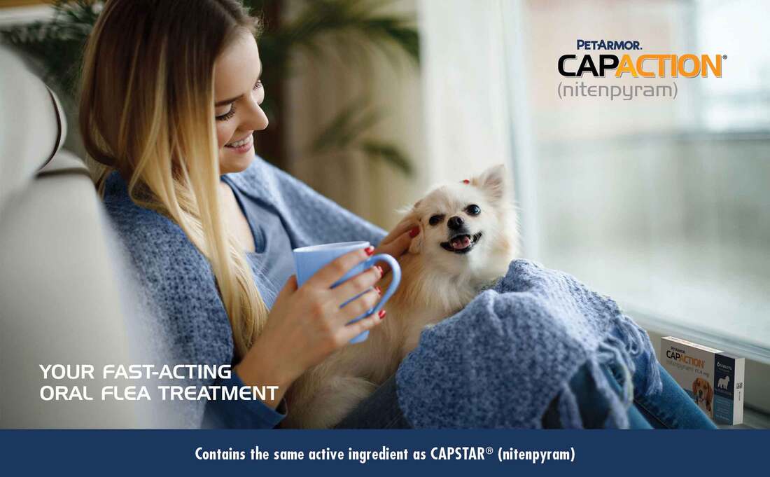 CapAction Flea Tabs for Dogs, 2-25 Pounds, 6 Count