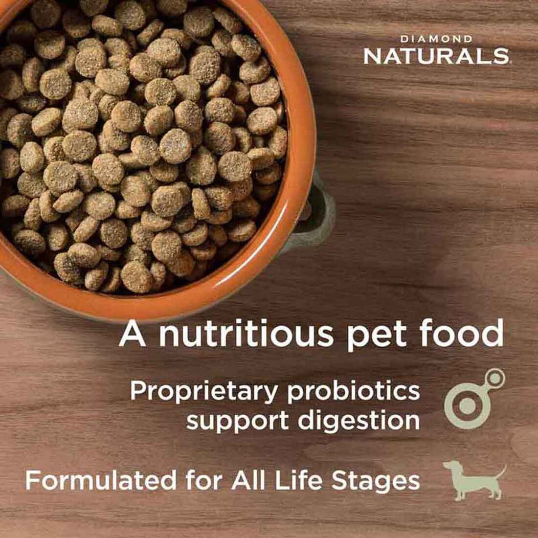 Diamond Naturals Skin & Coat All Life Stages Salmon & Potato Formula, 30 Pounds