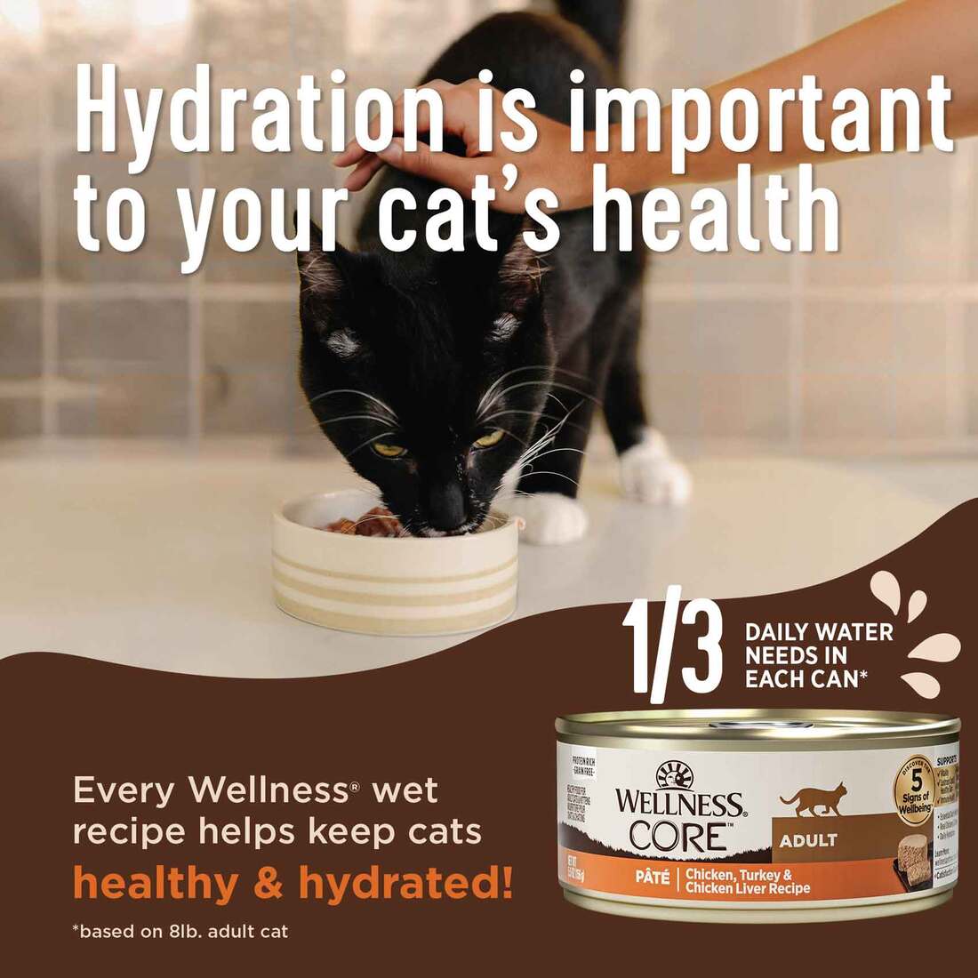 Wellness CORE+ Indoor Natural Grain Free Canned Wet Cat Food, Tuna ...