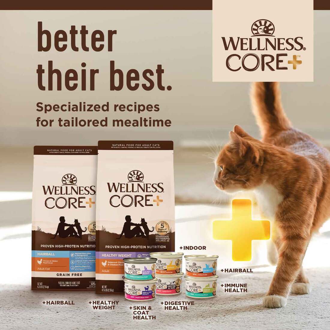 Canned Cat Core Cat Food Reviews Wellness CORE+ Indoor Grain Free