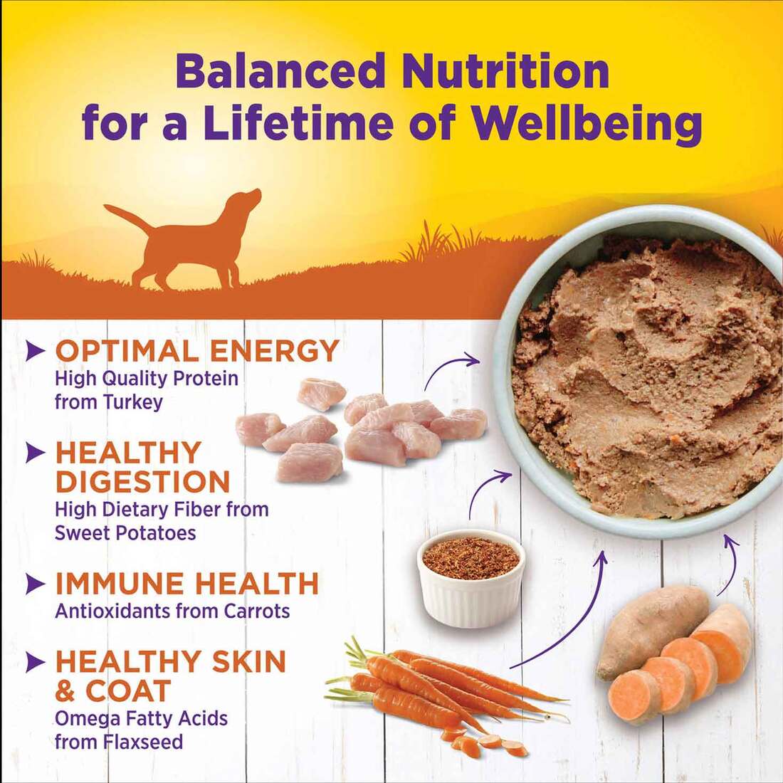 Wellness Complete Health Natural Wet Canned Dog Food Turkey & Sweet Potato, 12.5-Ounce Can