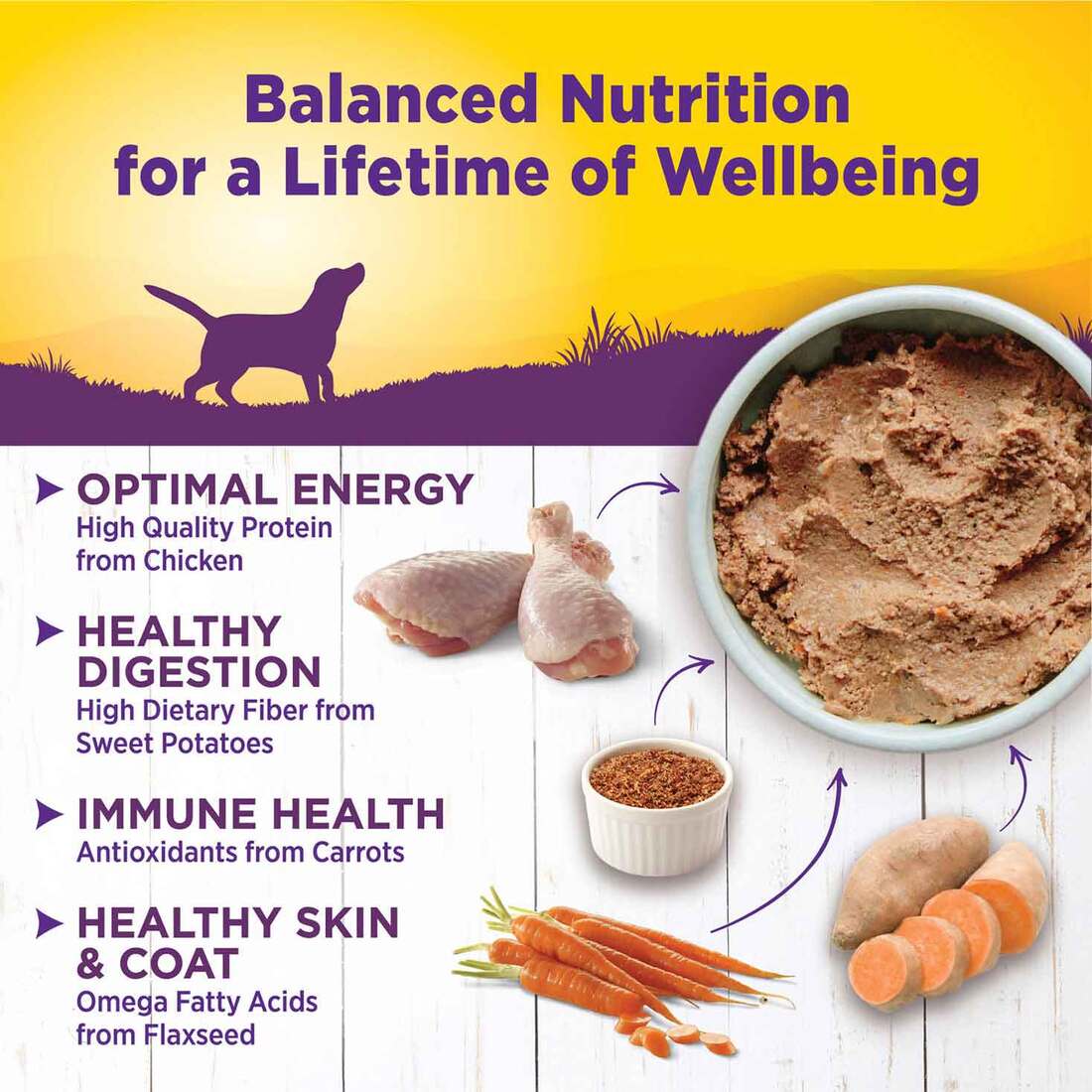 Wellness Complete Health Natural Wet Canned Dog Food, Chicken & Sweet Potato, 12.5-Ounce Can