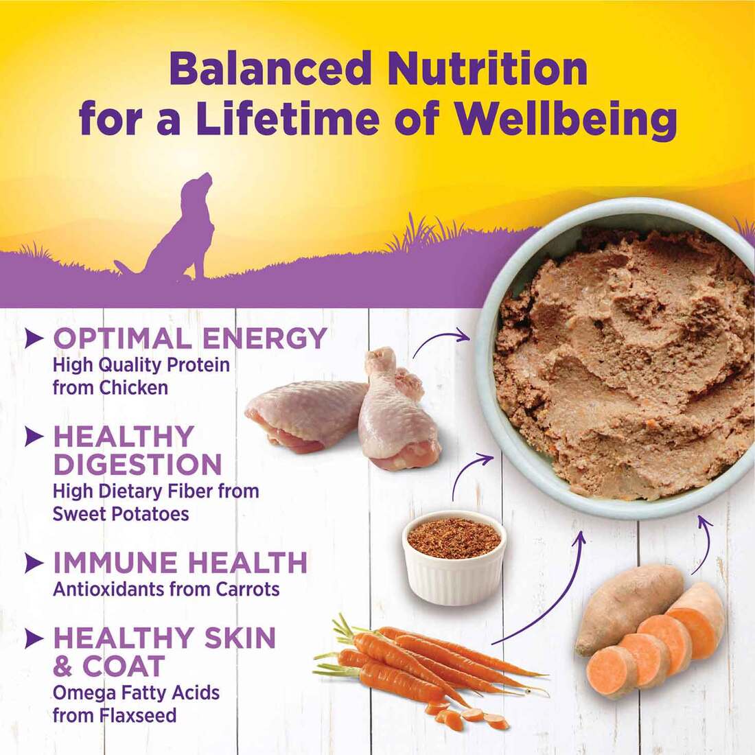 Wellness Complete Health Natural Wet Canned Dog Food, Senior Chicken & Sweet Potato, 12.5-Ounce Can