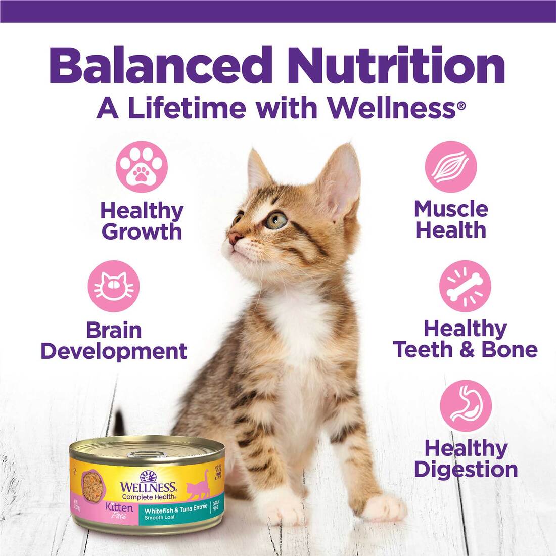 Wellness Complete Health Natural Wet Cat Food, Kitten Whitefish & Tuna and Chicken Pate Variety Pack