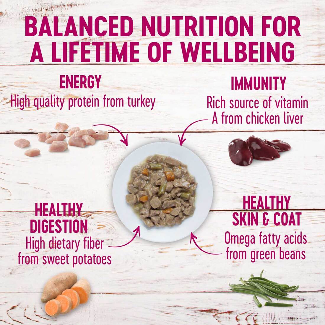 Chicken Tenders Wellness Petite Entrées Wet Dog Food Turkey