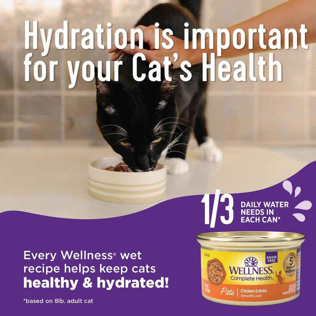 Wellness Complete Health Grain Free Natural Pate Kitten Wet Cat