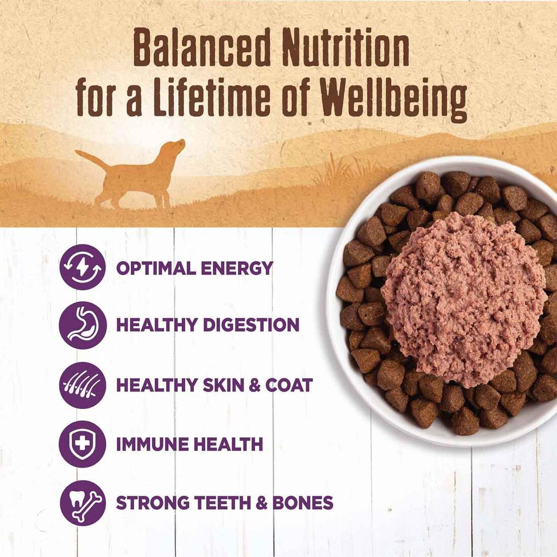Wellness 95% Chicken Natural Wet Grain Free Canned Dog Food, 13.2