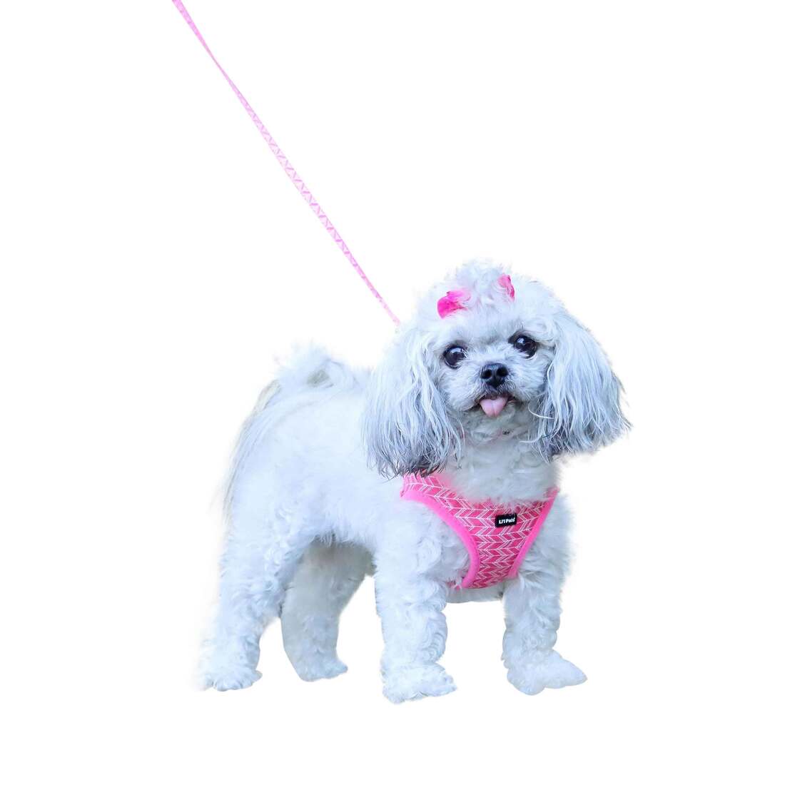Coastal Pet Products Li'l Pals® Patterned Dog Leash with E-Z Snap®, Pink Tribal Chevron, 5/8" x 06'