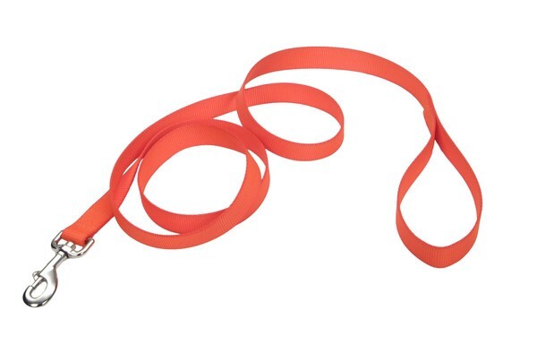 Coastal® Single-Ply Dog Leash, Neon Orange, 1" x 6'