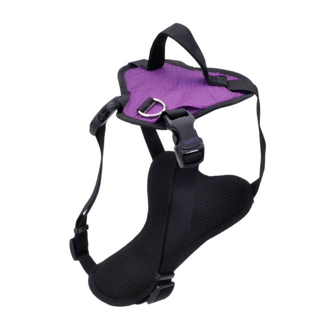 Inspire Harness, Inspire Purple, 1" x 30"-43"