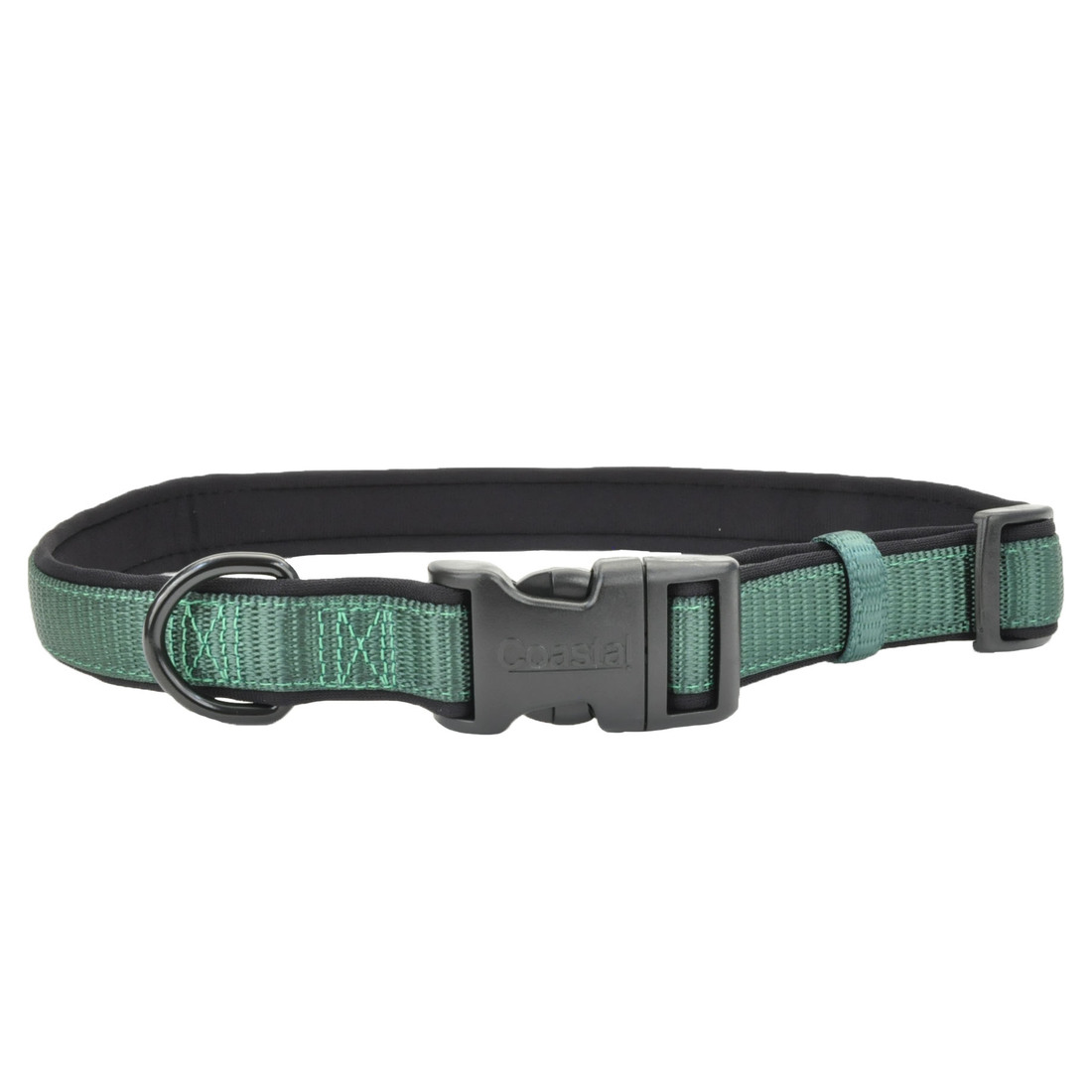 Coastal® Adjustable Comfort Dog Collar, Green, 1" x 18"-26"