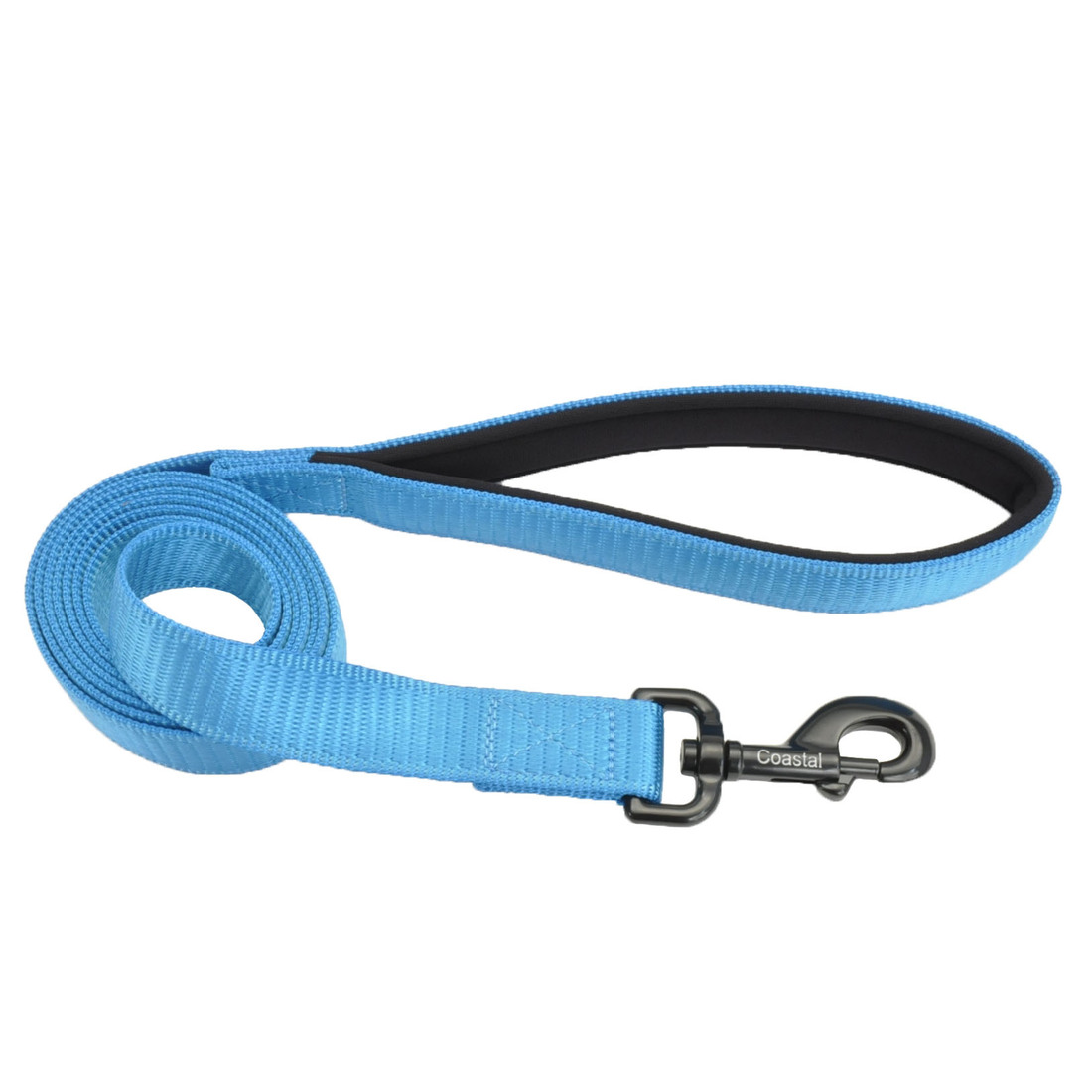 Coastal® Comfort Dog Leash, Aqua, 1" x 06'
