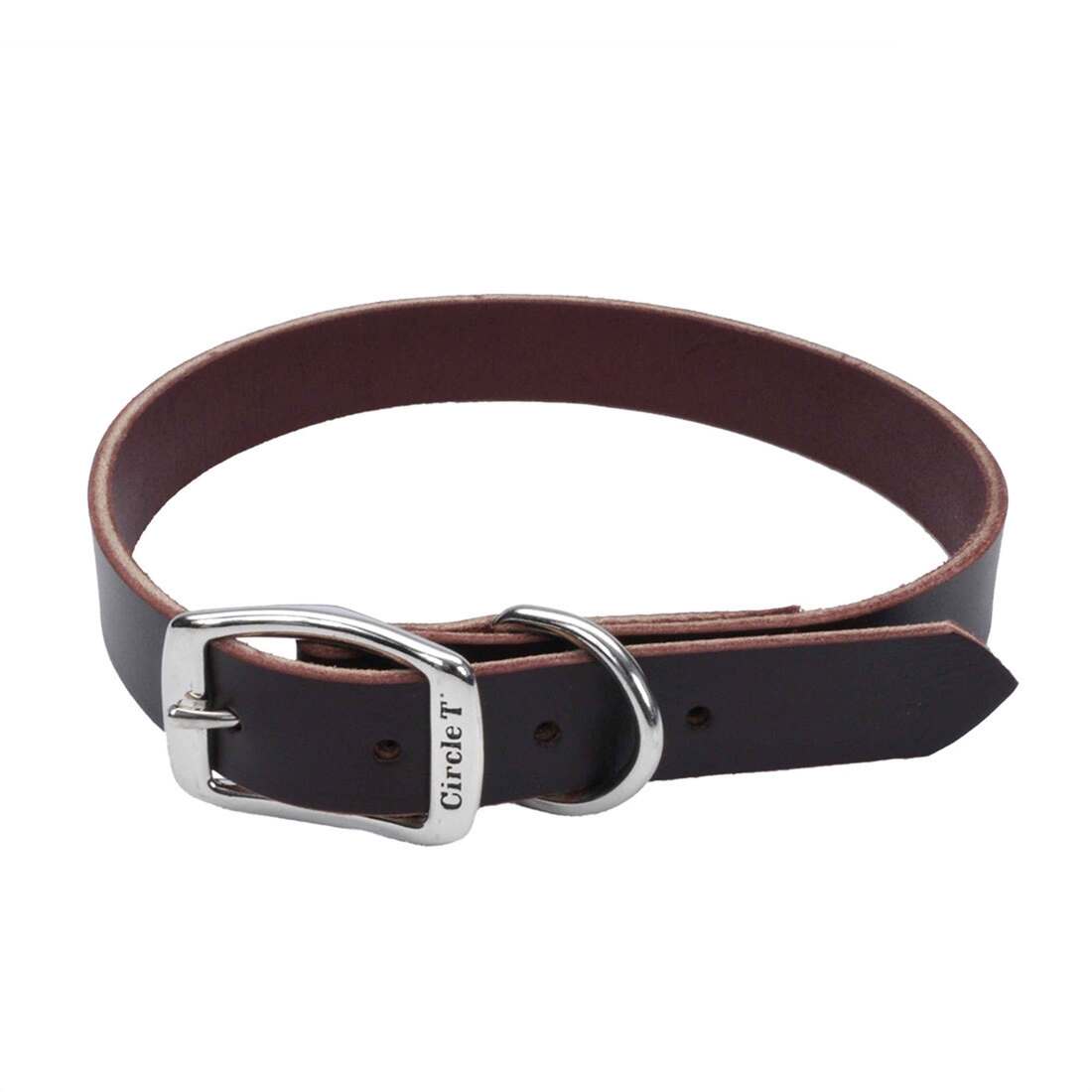 Circle T Latigo Leather Town Dog Collar, Latigo, Small