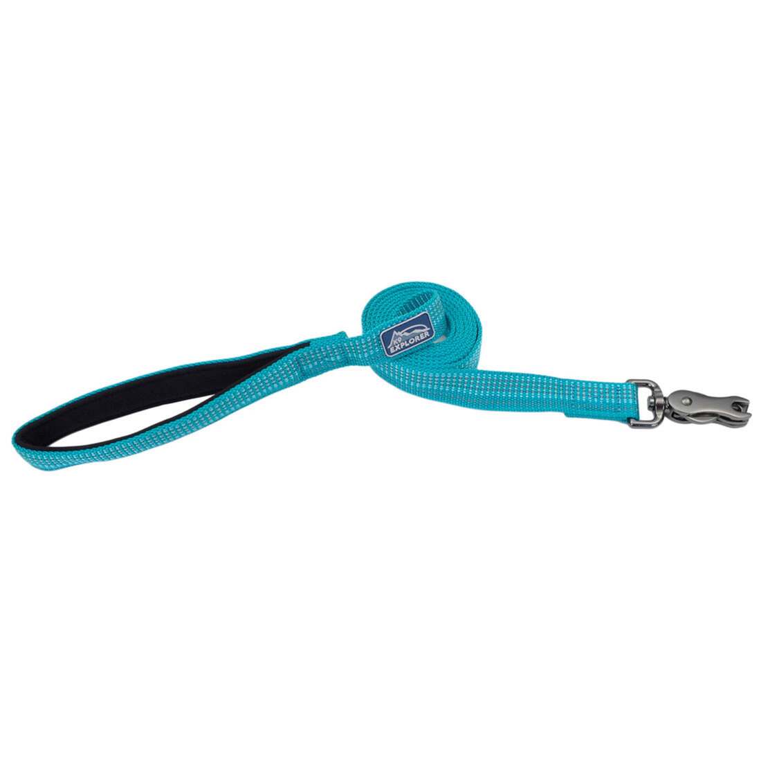 K9 Explorer Brights Reflective Dog Leash, Ocean, Extra Small/Small