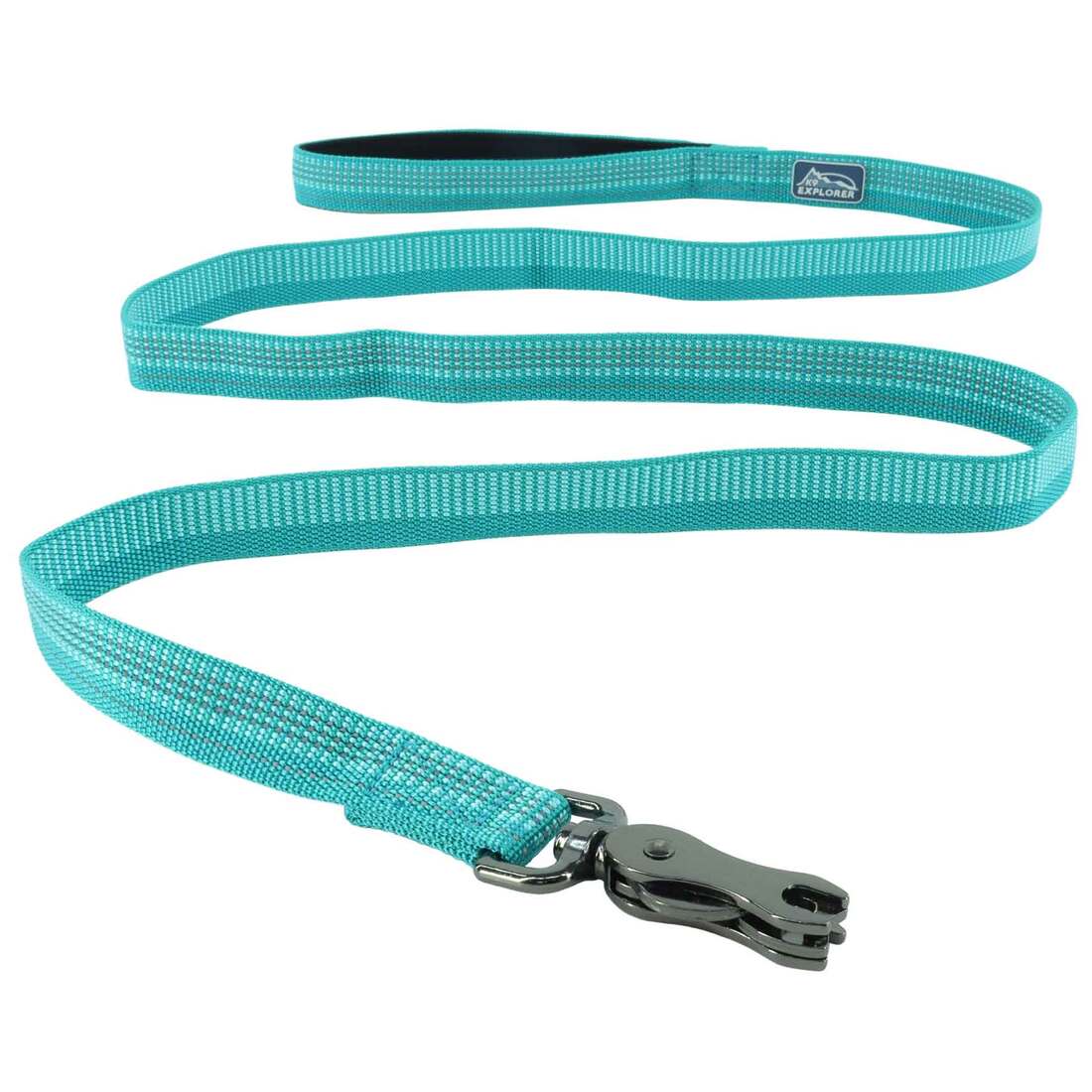K9 Explorer Brights Reflective Dog Leash, Ocean, Extra Small/Small