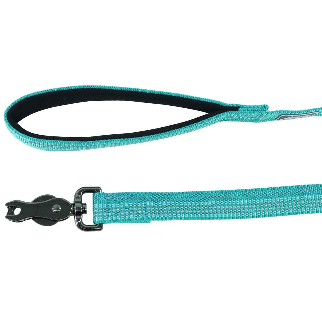 K9 Explorer Brights Reflective Dog Leash, Ocean, Extra Small/Small