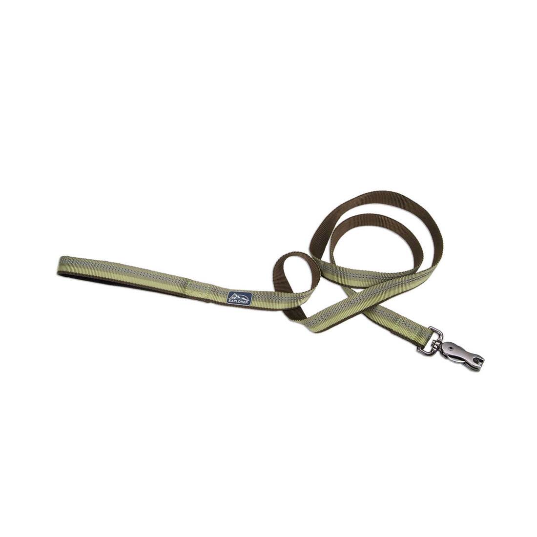 K9 Explorer® Reflective Dog Leash with Scissor Snap, Fern, 1" x 06'