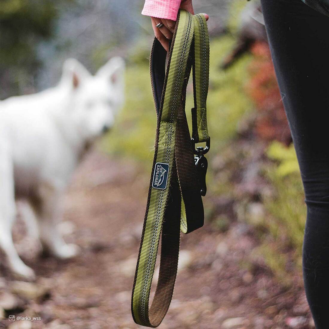 K9 Explorer® Reflective Dog Leash with Scissor Snap, Fern, 1" x 06'
