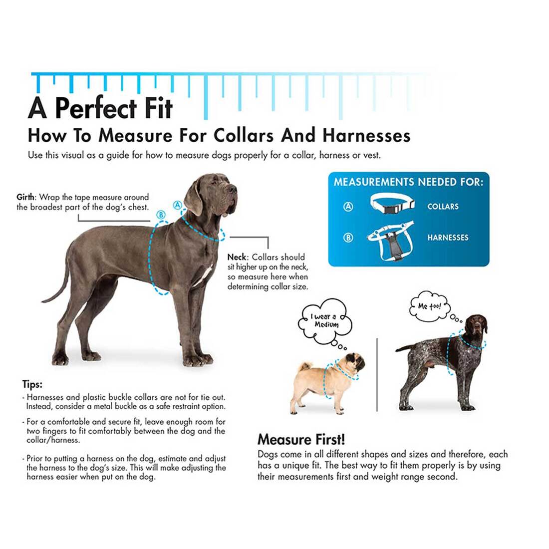 K9 Explorer® Reflective Adjustable Dog Collar, Sapphire, 5/8" x 12"-18"