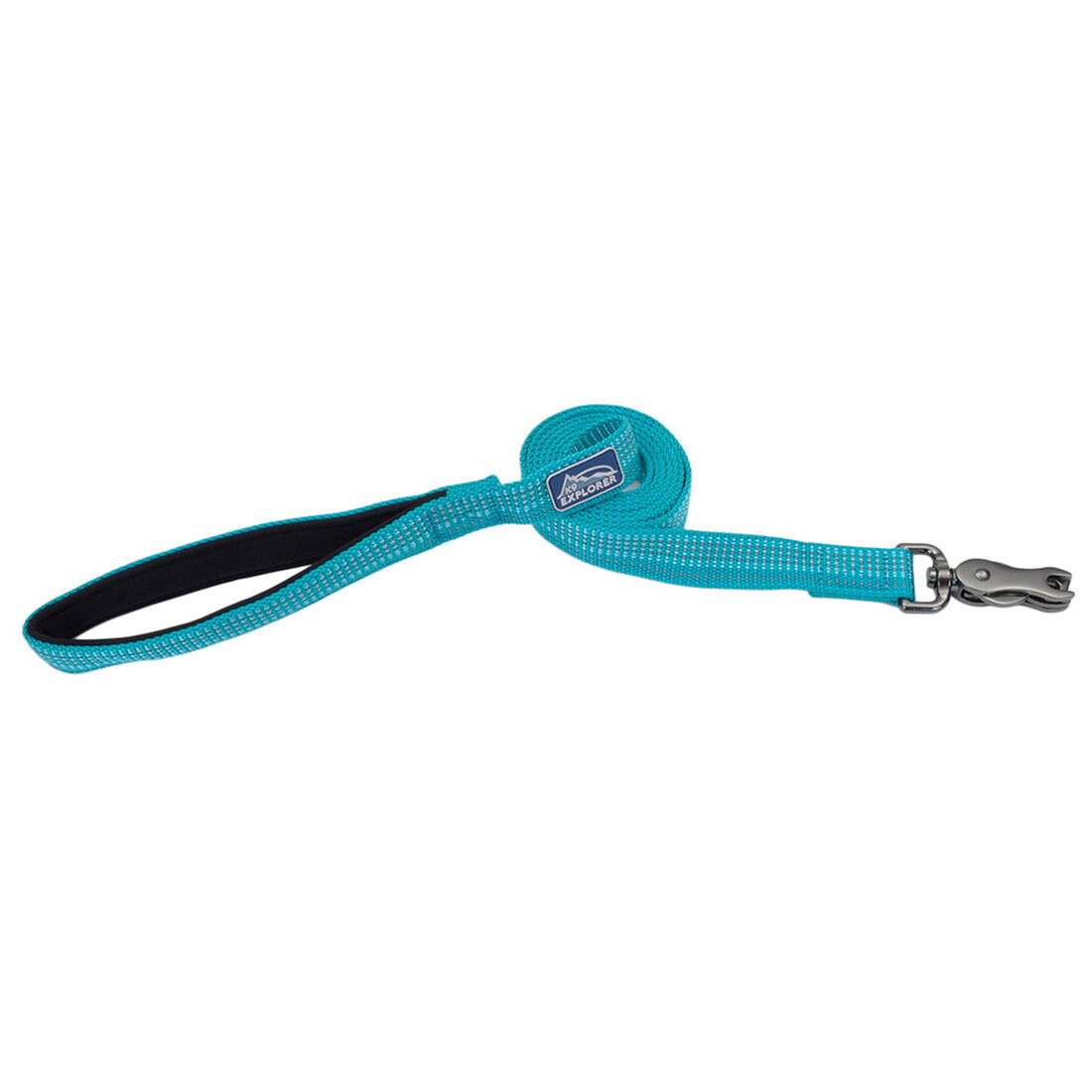 Coastal Pet Products K9 Explorer® Brights Reflective Dog Leash, Ocean, 1" x 06'