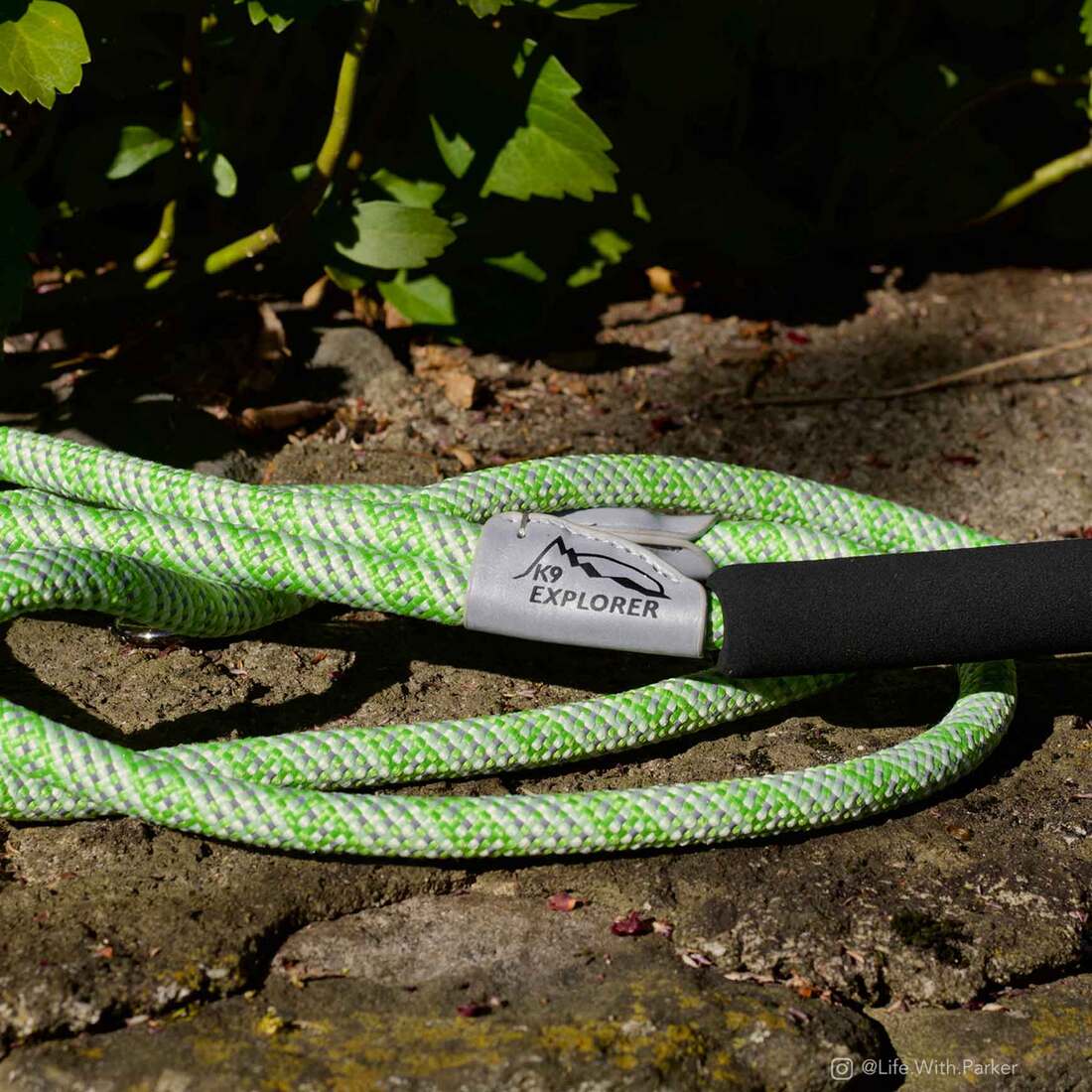 K9 Explorer Brights Reflective Braided Rope Snap Leash, Meadow