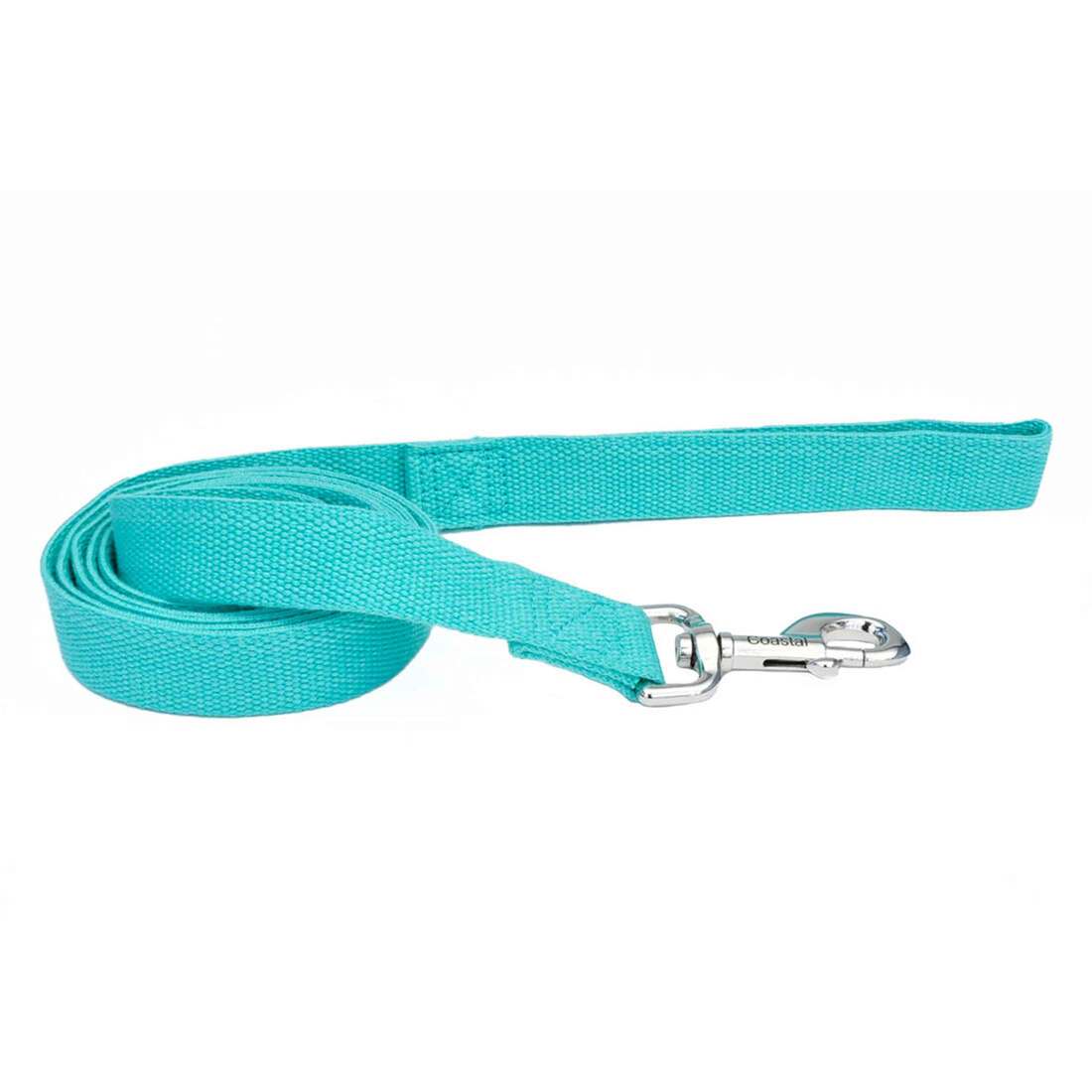 New Earth® Soy Dog Leash, Mint, 5/8" x 06'